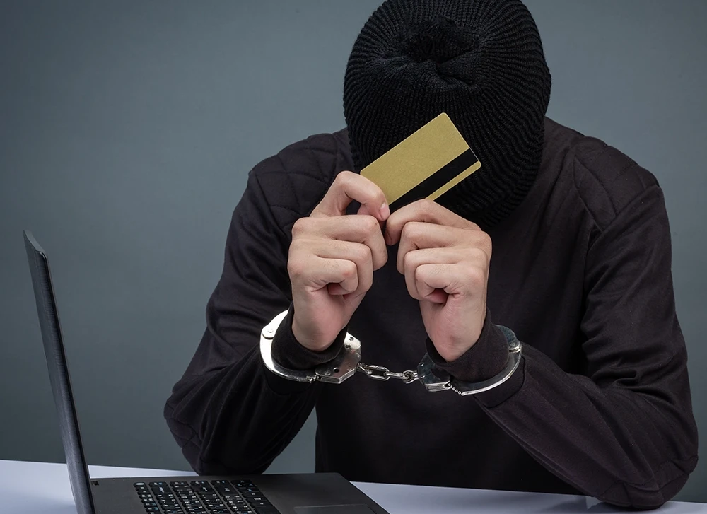 Theft & Fraud Lawyer